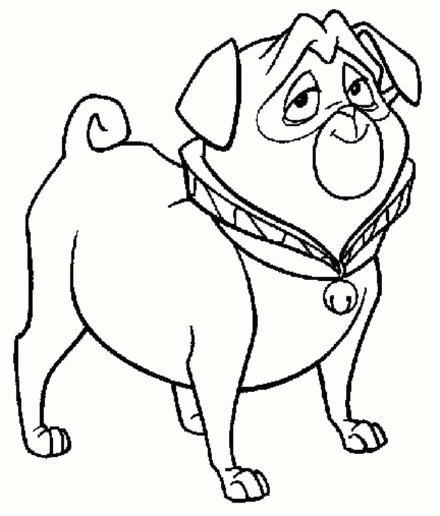 Kolorowanka Piesek z Królewskim Akcentem - Mops do Druku kolorowanka do druku